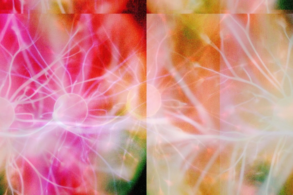 Something Broke Apart or Came&nbsp;Together