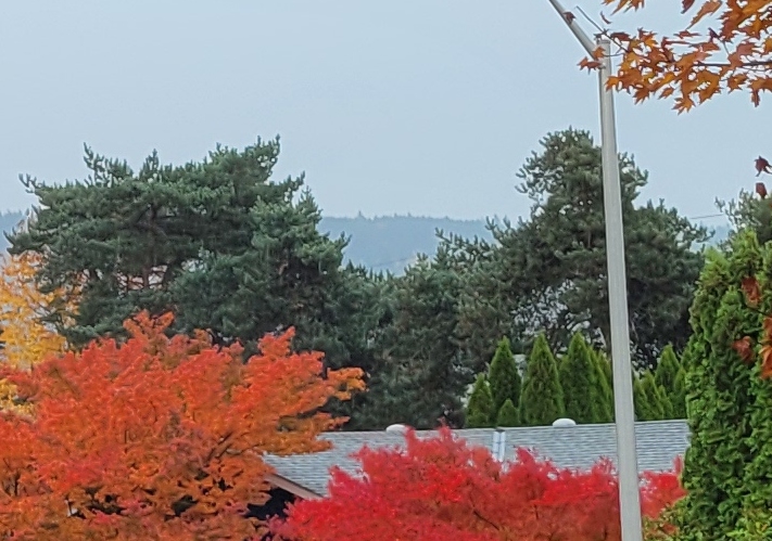 Why don’t you get a light&nbsp;box?